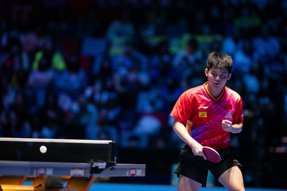 导方向的舵 导方向的舵